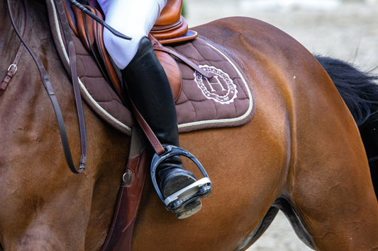 Flex-On Stirrup Irons: Which Ones Are Right for You?