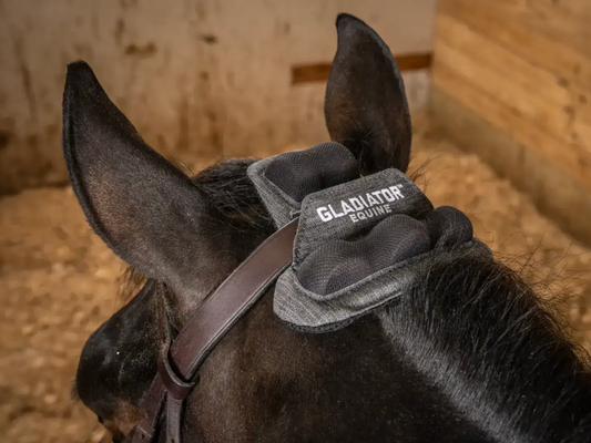 Gladiator Equine FIR calming and therapeutic technology for horses.