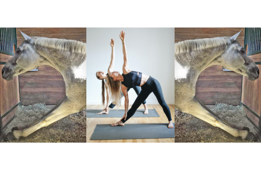 Are You Flexing? Stretching For Horse And Rider To Build Strength And Prevent Injuries