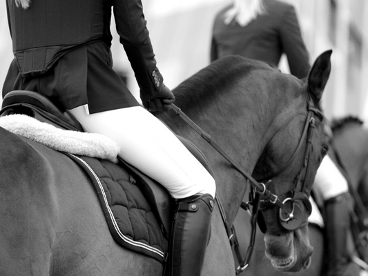 How to Help Your Horse with Anxiety—Especially on Show Day