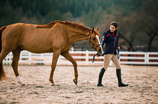 12 Best Horse Riding Boots