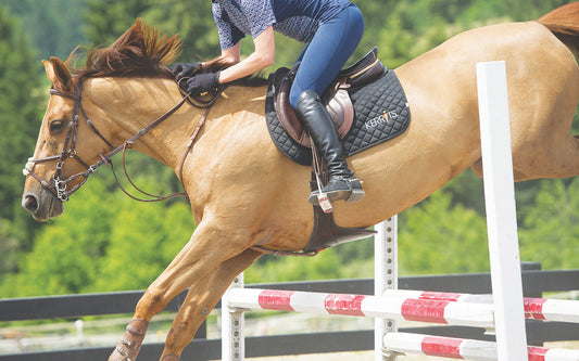 horse with running martingale