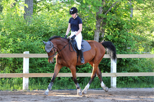 What To Expect At Your First Horseback Riding Lesson