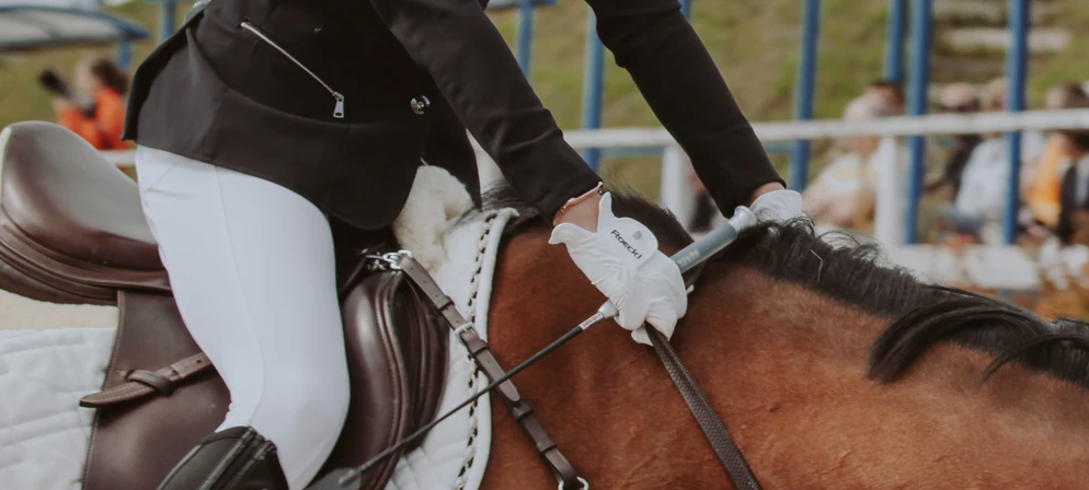 How To Care For Your Saddle Pads