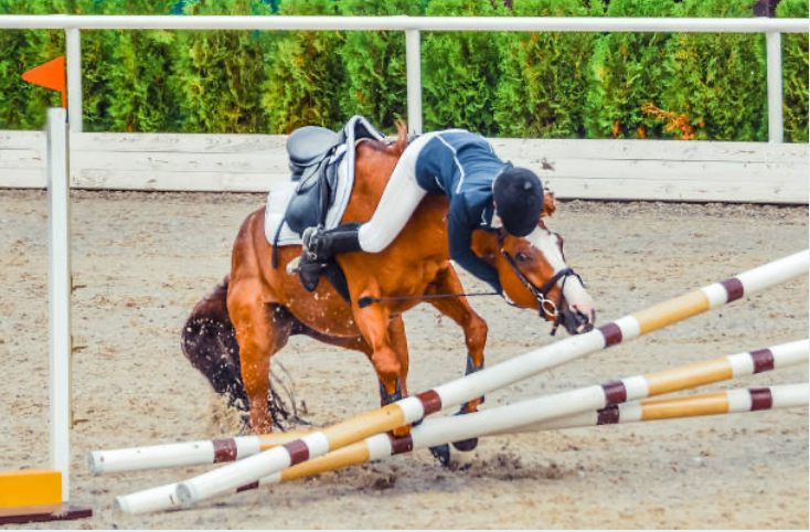 Equestrians' Misadventures Using Only 6 Words