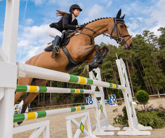 Female show jumper on a brown horse completing an oxer jump