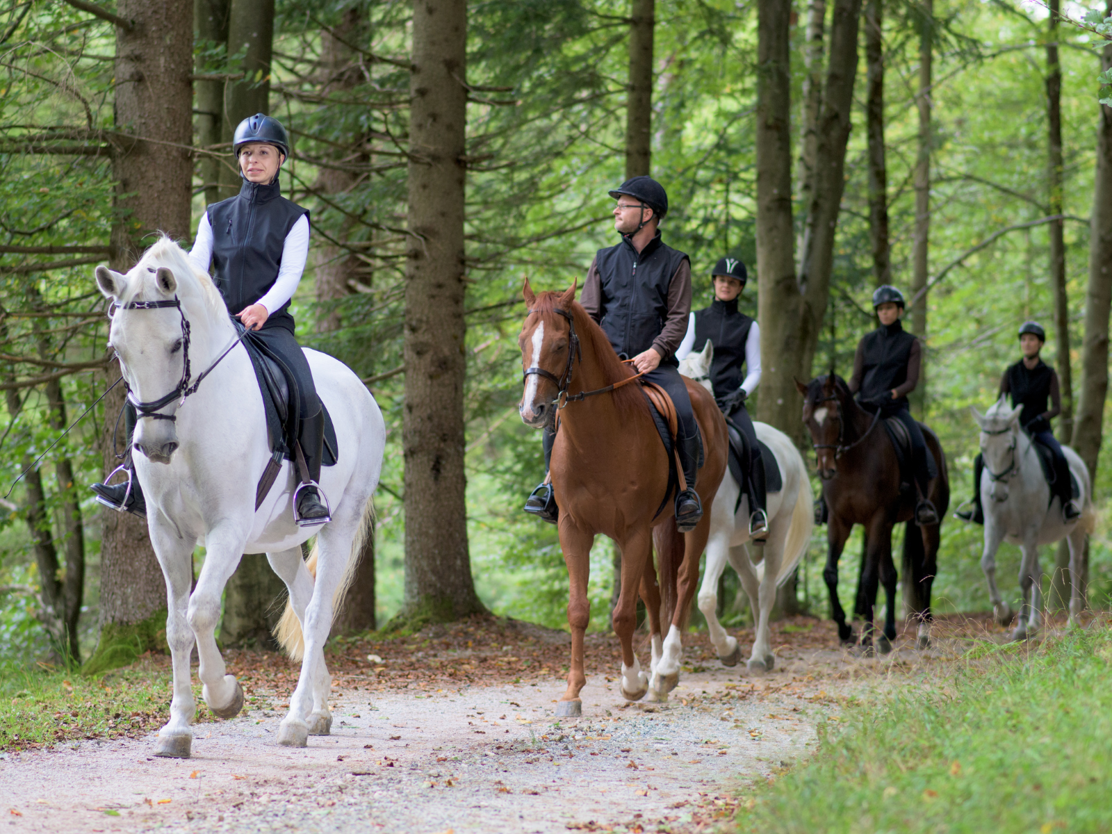 Horseback Trail Riding 101: Tips for Beginners, Best Trails, & What to ...