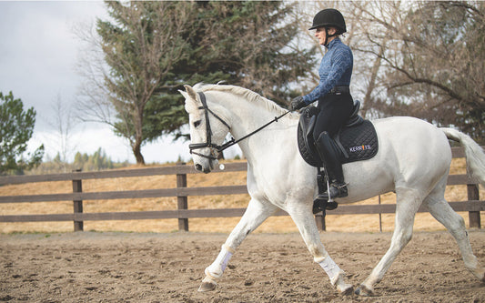 Ultimate Dressage Equipment List