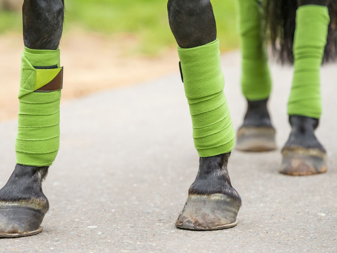 Ultimate Guide to Horse Leg Wraps – Farm House Tack