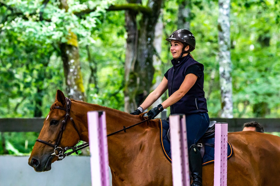 Equestrian riding horse