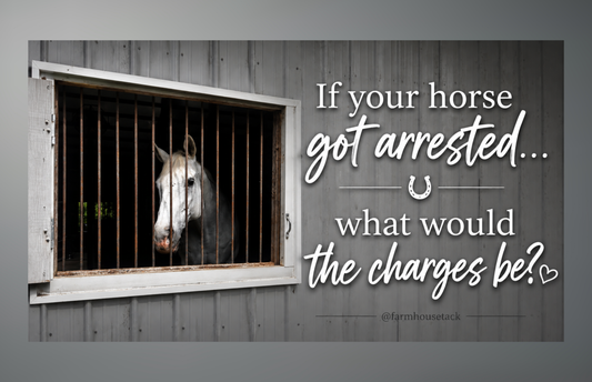 Gray horse looking through stall bars beside the words “If your horse got arrested, what would the charges be?”