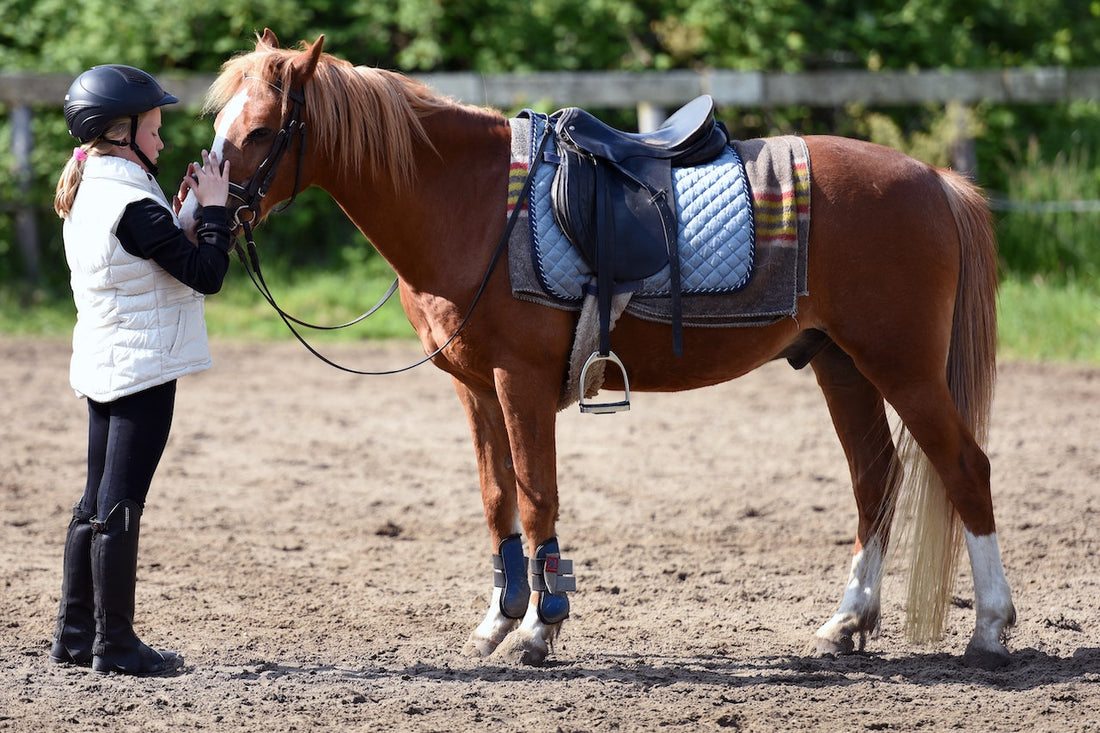 Essential Guide to Horse Tack