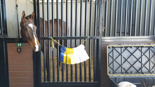 Tryon International Equestrian Center Show Stabling