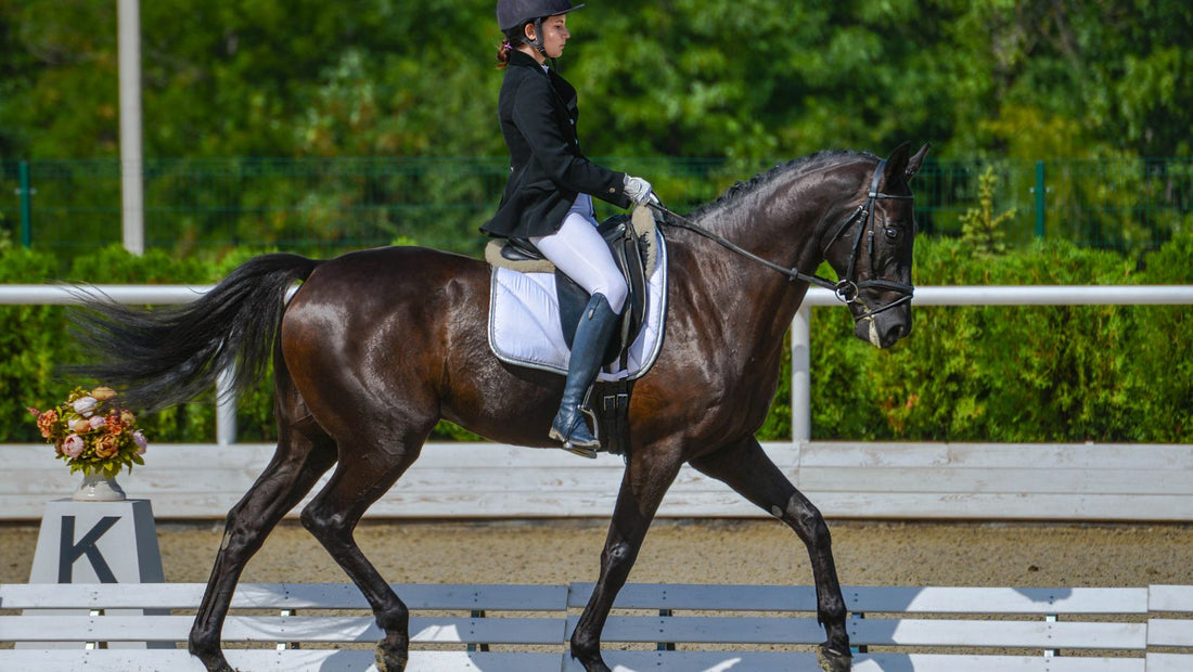 dressage rider in competition
