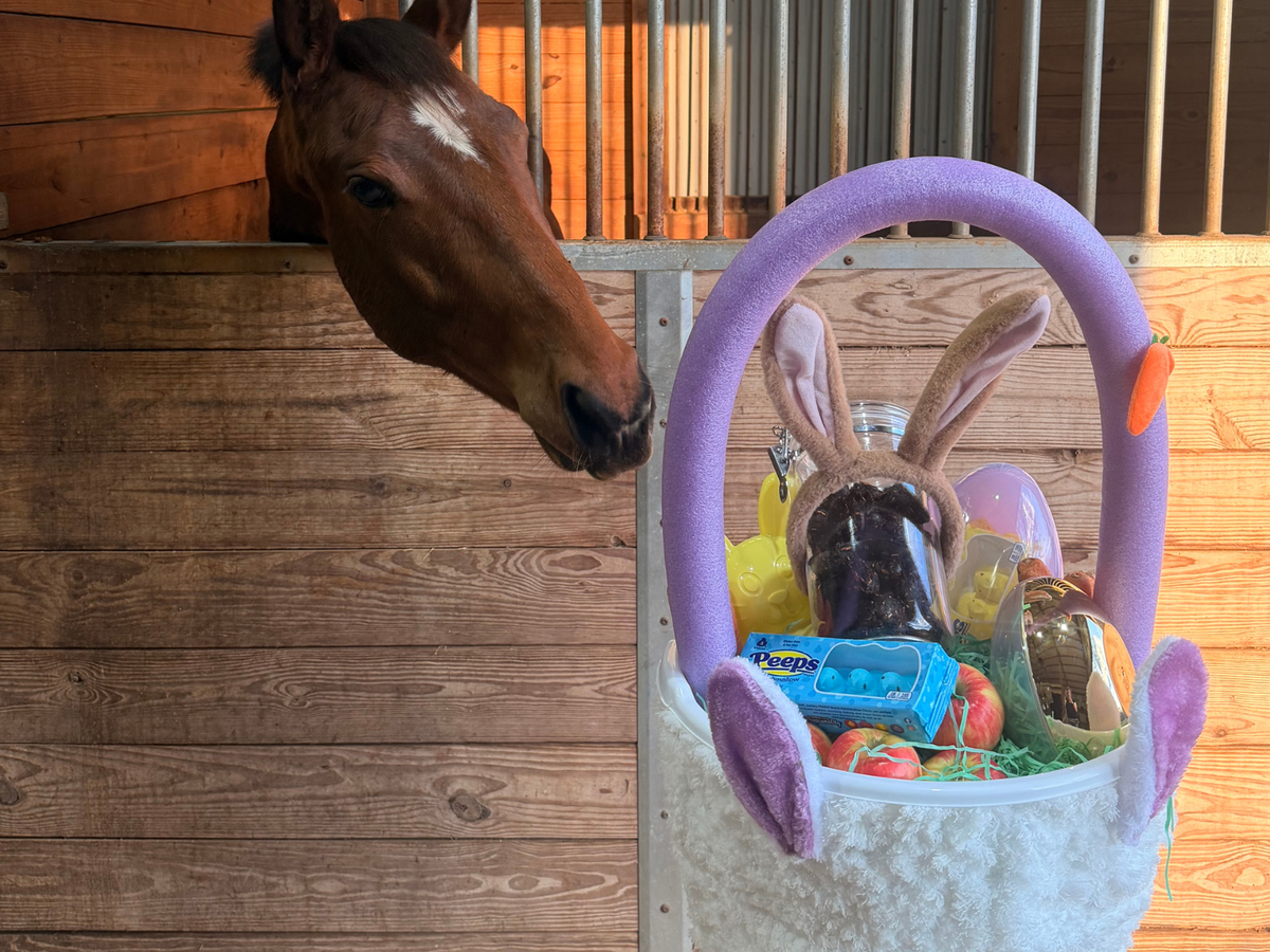 DIY Barn Easter Basket