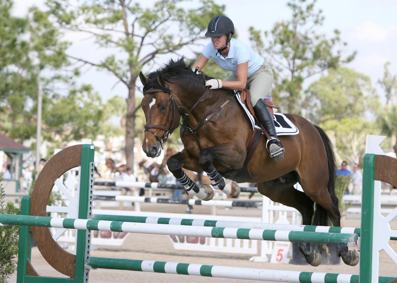 10 of the Best English Jumping Saddles