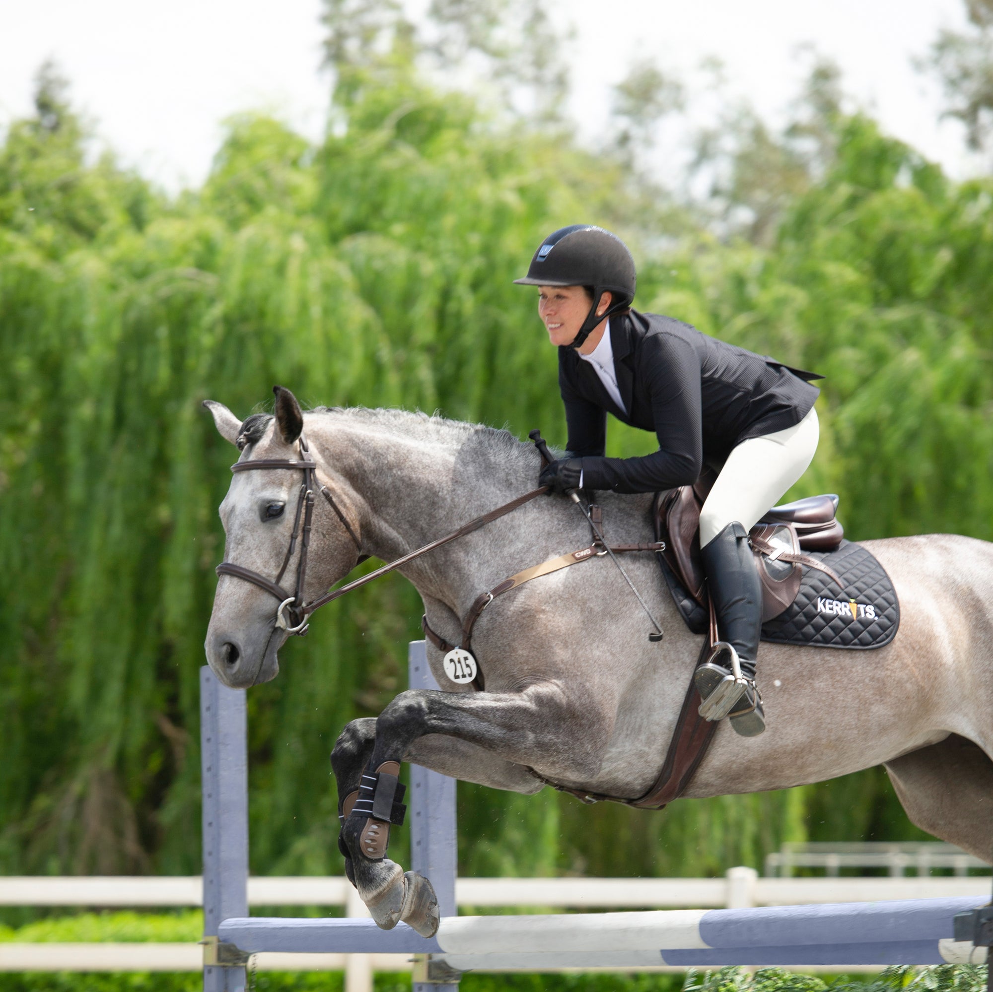 Grey jumper horse