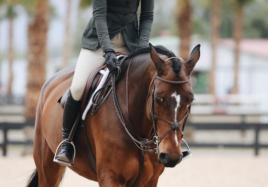 Equestrian Fashion Takeaways