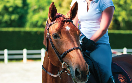 Funny Things Heard By Horse People