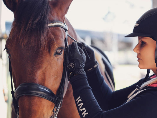 Equestrian adjusting horse's bridle wearing gloves
