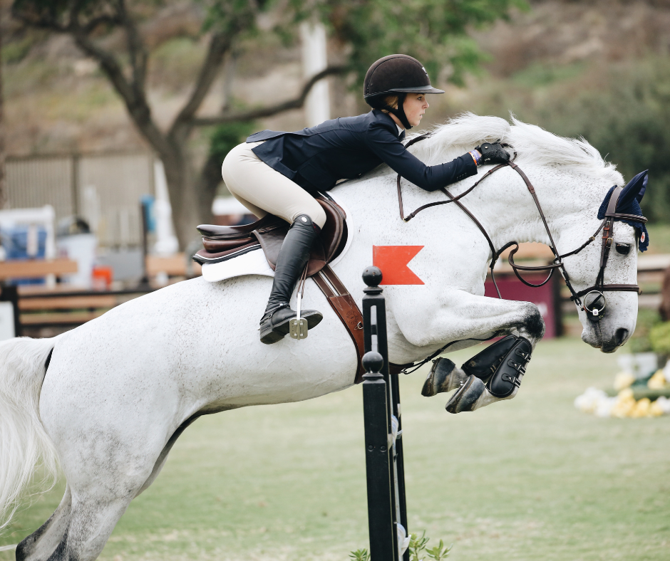 10 + Surprising Things You Didn't Know You Needed For Show Season