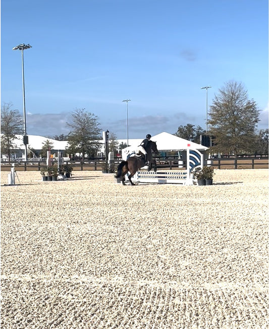 Meriel Curtin competing in showjumping at World Equestrian Cente