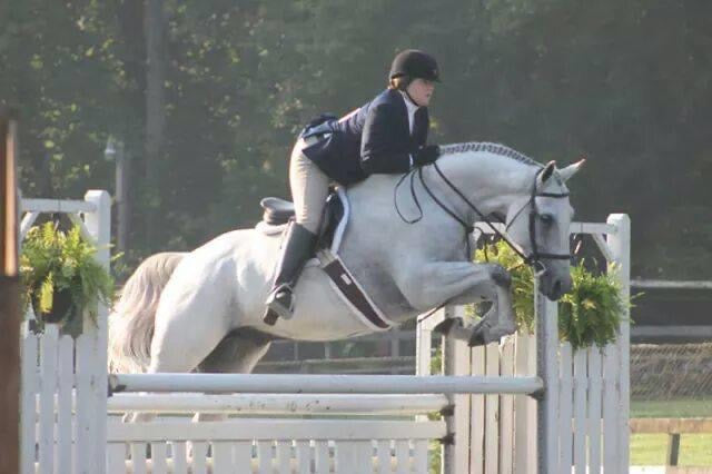 Big grey hunter going over an oxer
