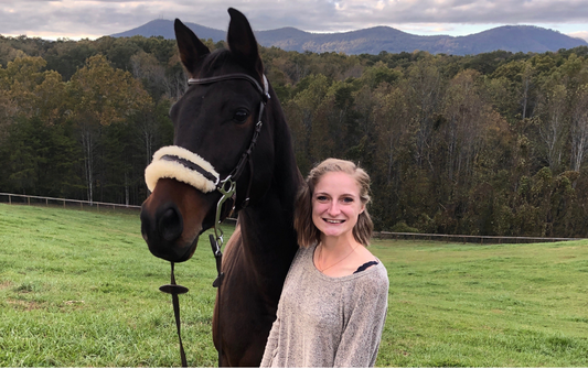 Dark Bay Horse with Mountain Background