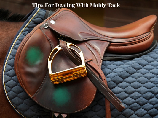 5 Tips For Dealing With Moldy Leather