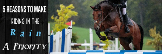 Horse jumping fence in rain