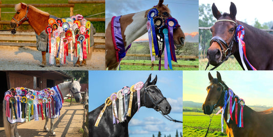 Horses with ribbons