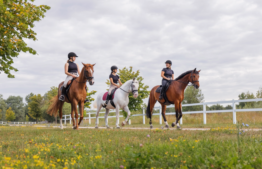 Horseback riders on a summer barn day