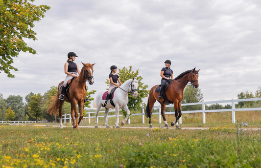 Horseback riders on a summer barn day