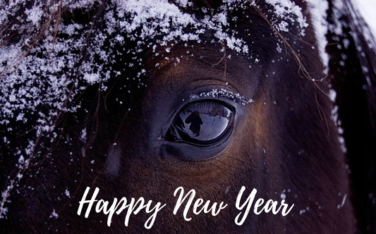 Top Equestrian Gear Of 2021