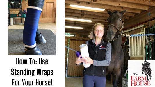 How to Wrap Your Horse's Legs