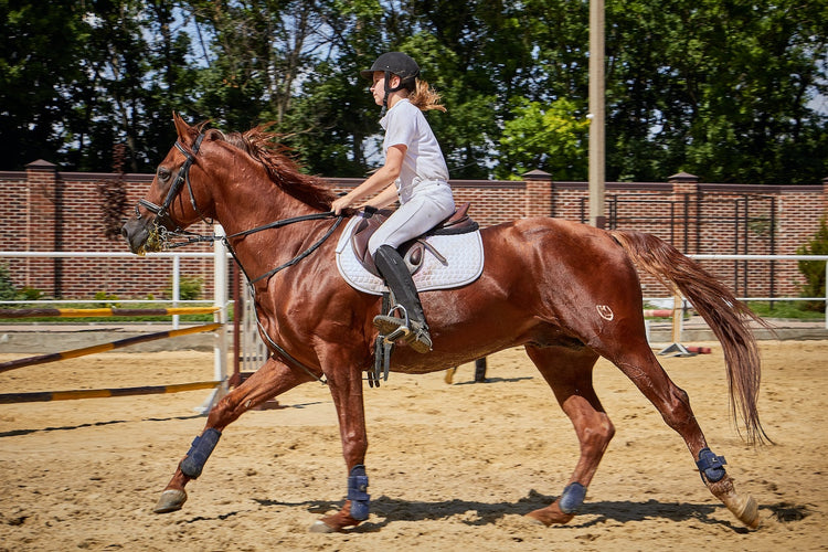 Form Riding Equipment Horse Riding Equipment List (What Do You Really Need?)