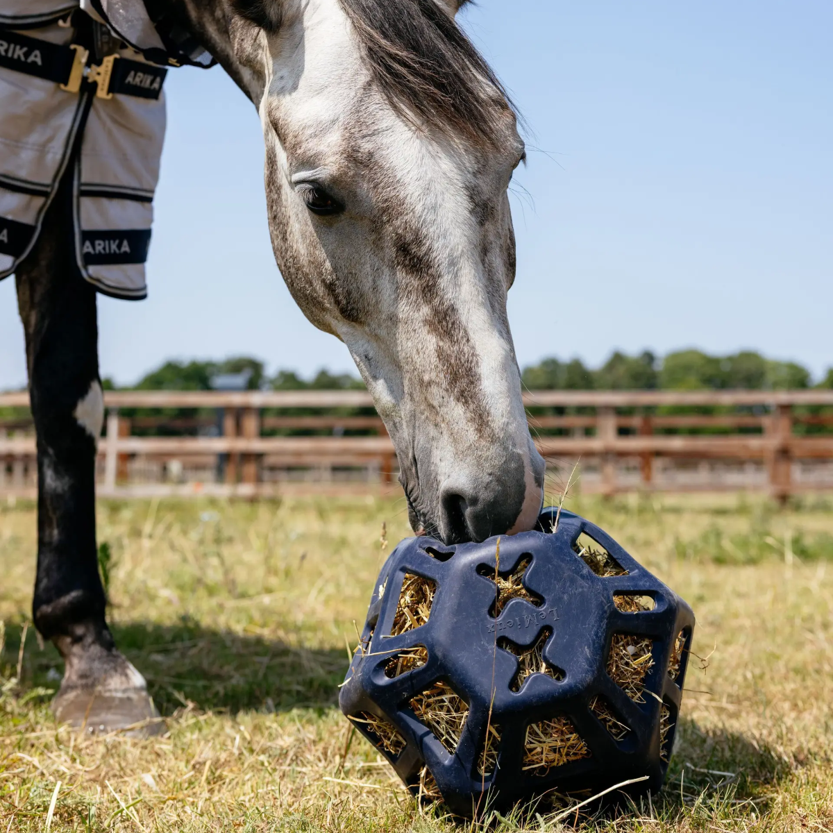 LeMieux Hay Ball