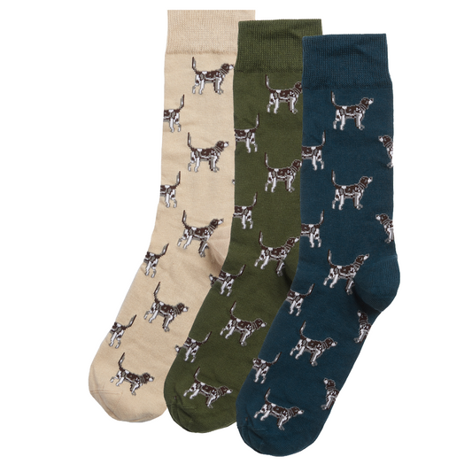 Barbour Pointer Dog Socks Gift Box, Forrest Mist, Front View