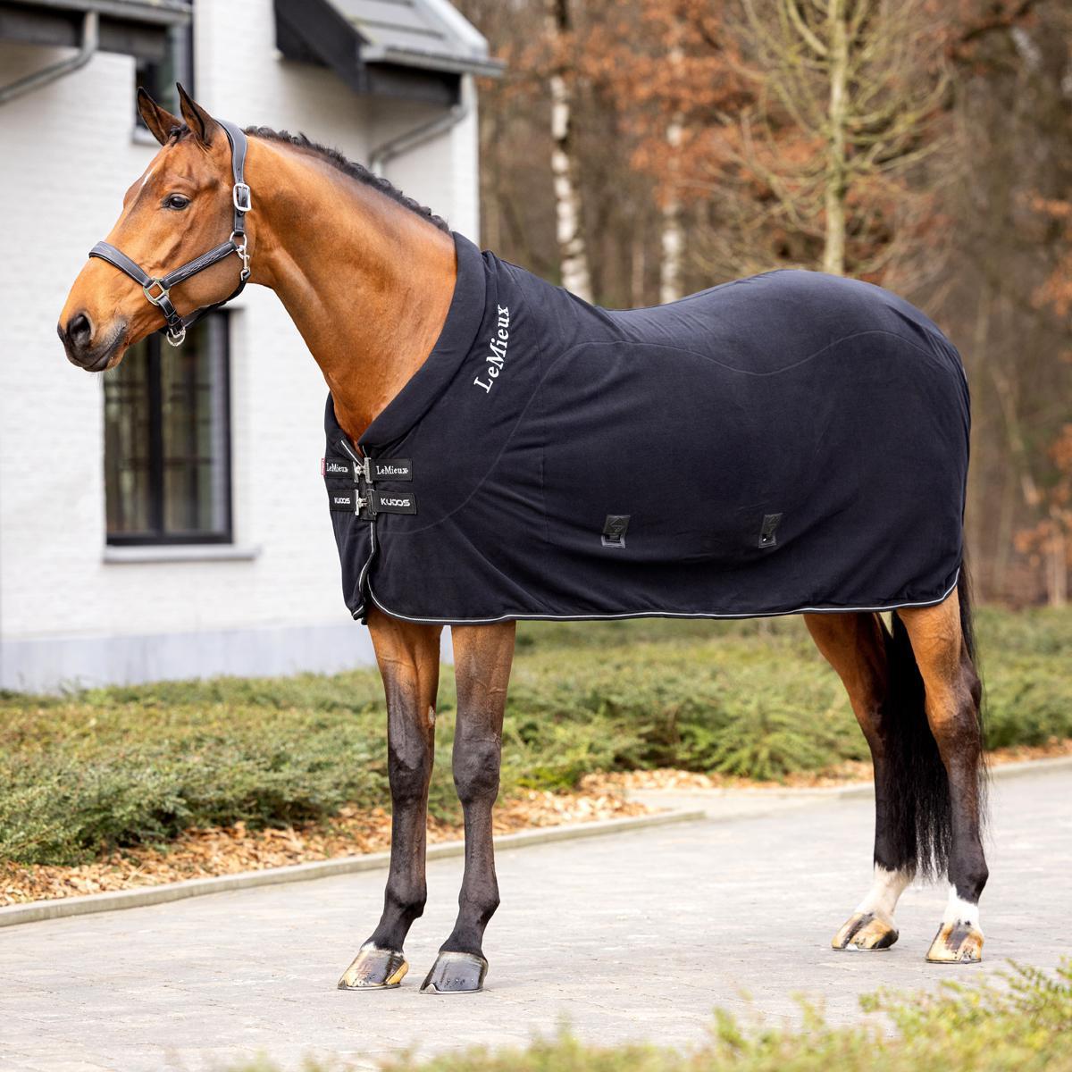 LeMieux Kudos Fleece Cooler Blanket