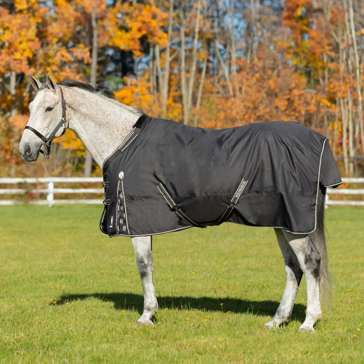 Equinavia Norse Mid-Heavy Weight Turnout Blanket