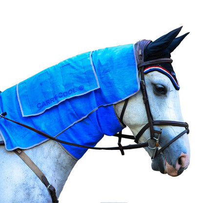 Carry-Cool Sport Horse Cooling Kit