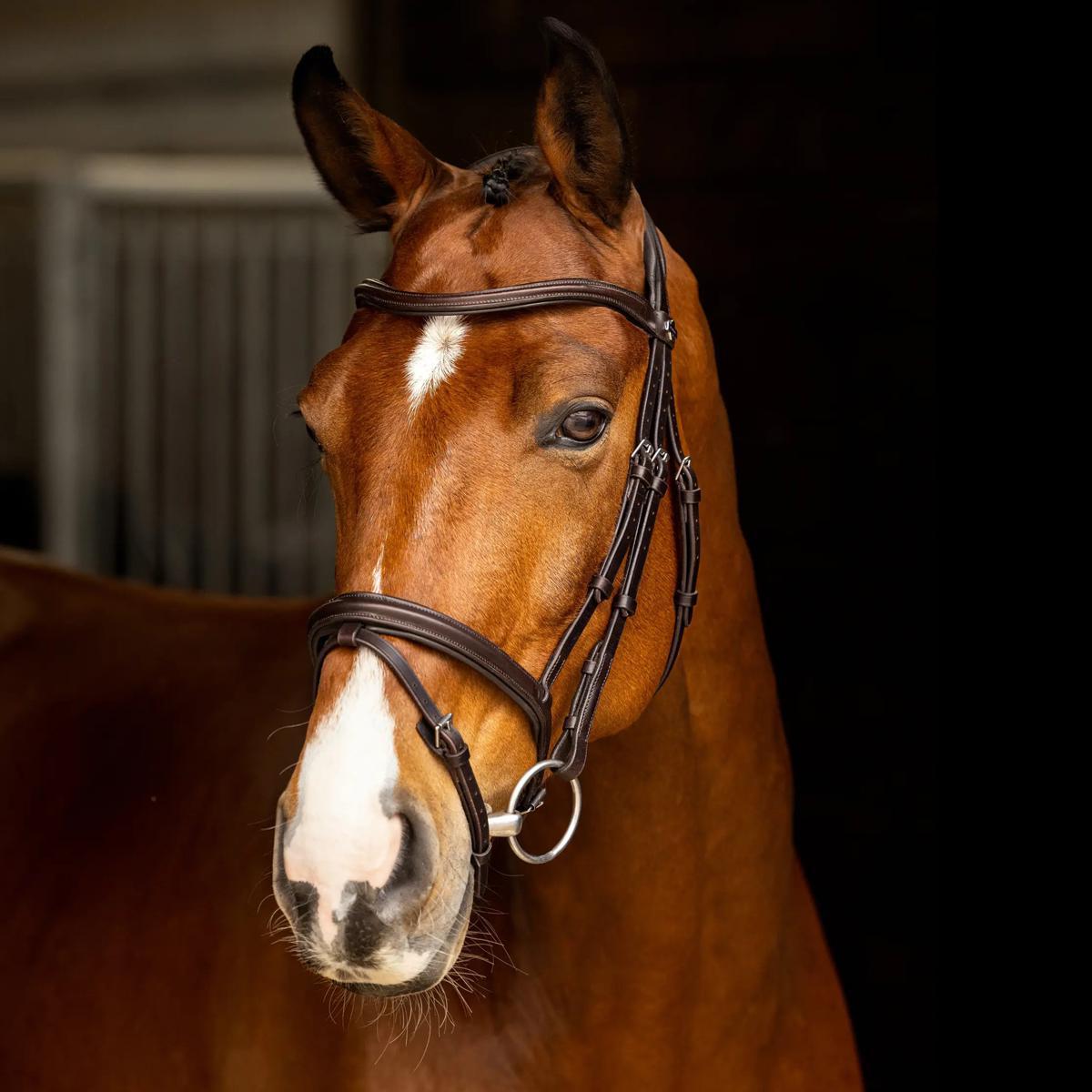 LeMieux Arika Flash Bridle