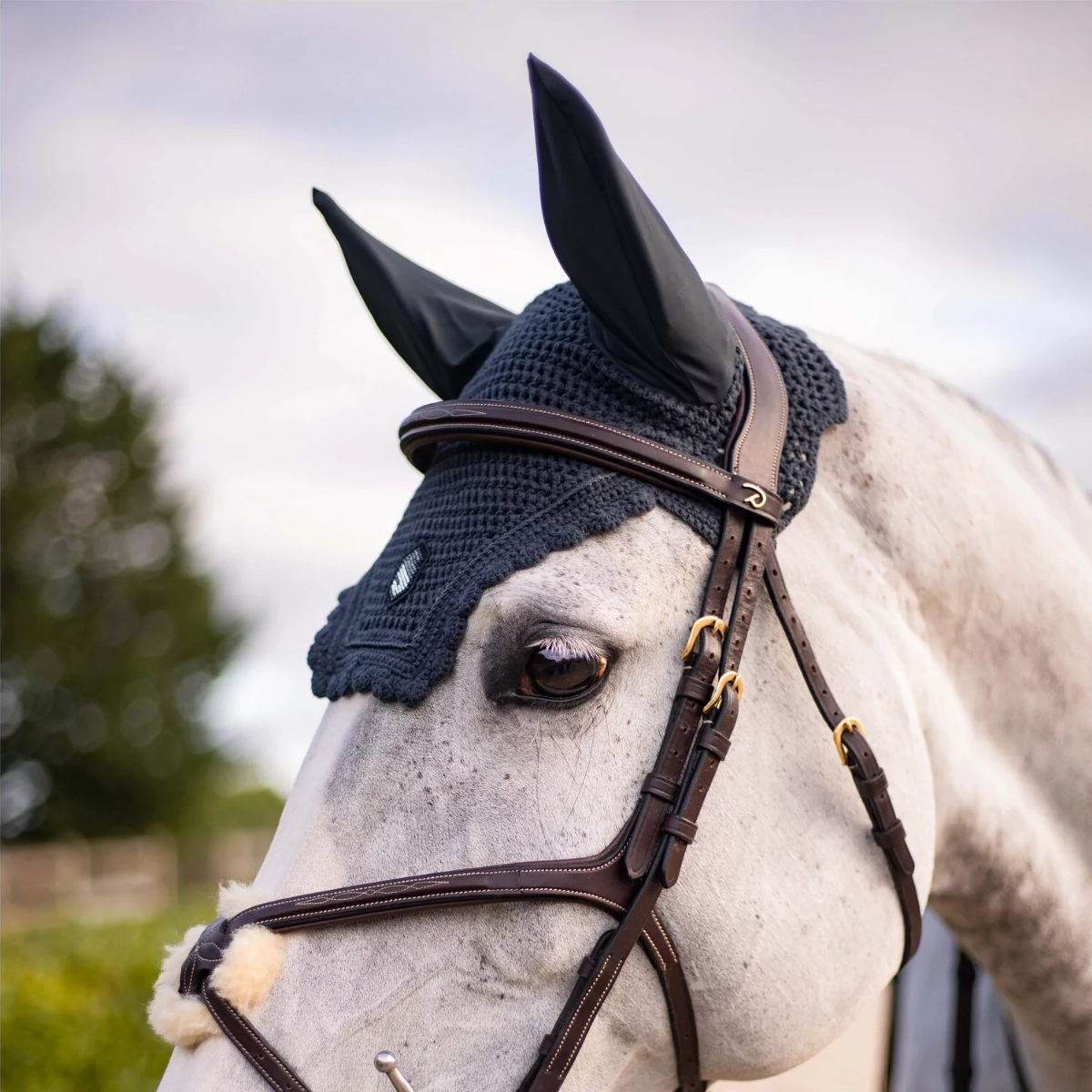 Samshield Flyshield Swarovski Fly Veil
