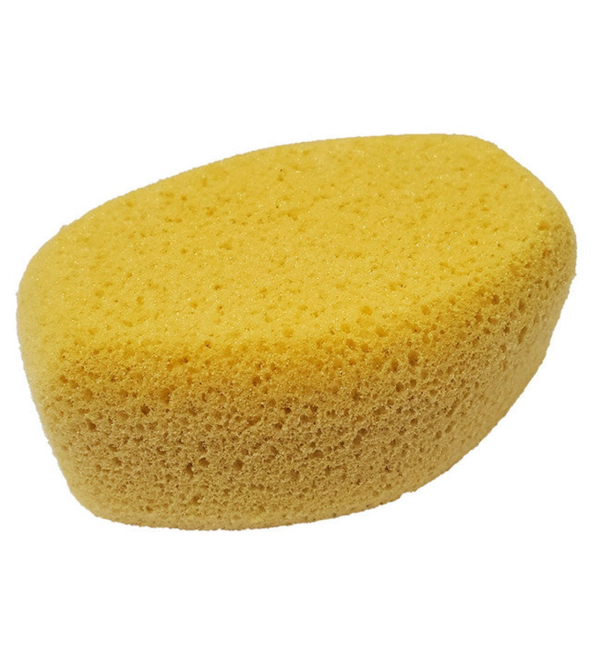 Oval Tack Sponges