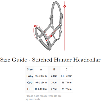 LeMieux Stitched Hunter Headcollar