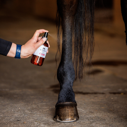 Dr. Hansen's Equine Apothecary  Formula 44 Spray