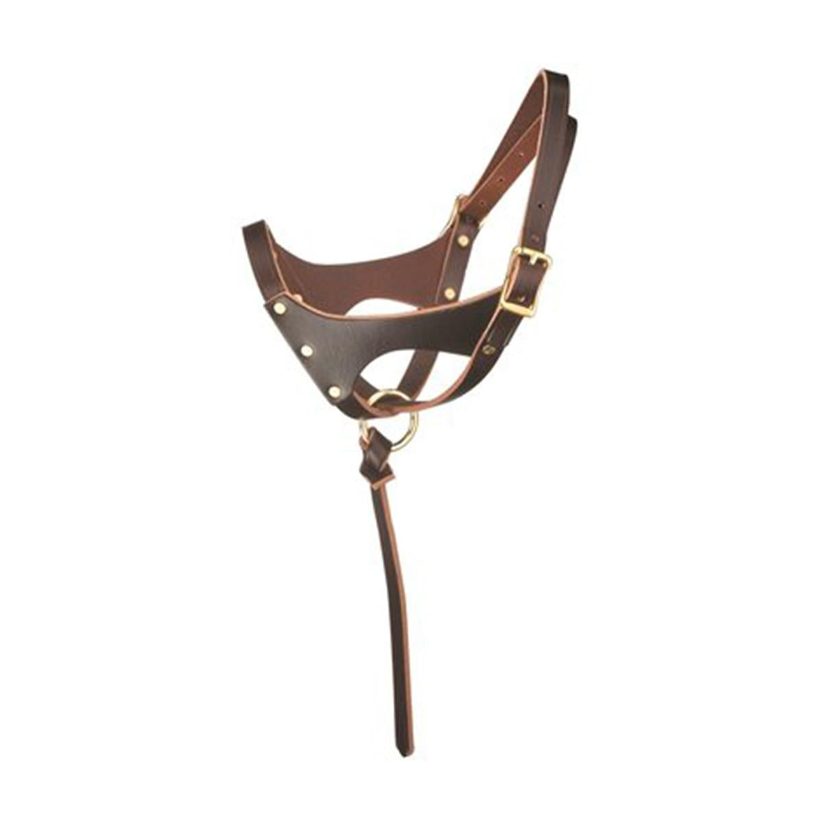 Perri's Double Crown Foal Halter