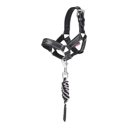 LeMieux Toy Pony Leather Headcollar & Leadrope