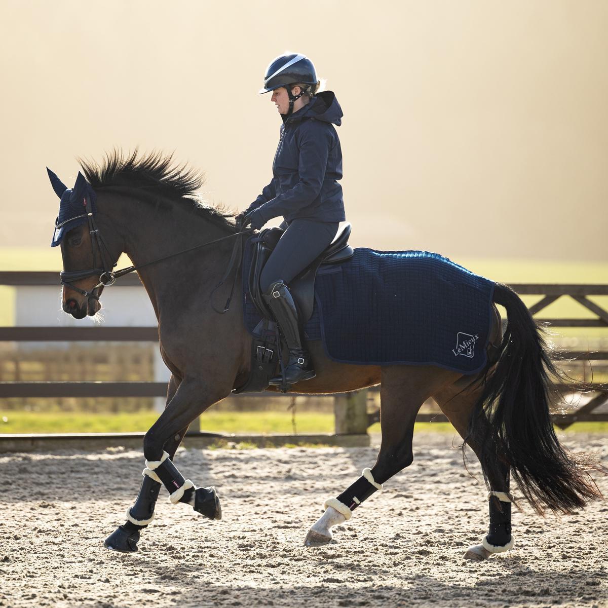 LeMieux Arika Clima-Tek Quarter Sheet