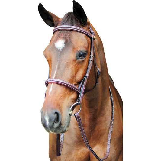 HDR Pro Fancy Raised Comfort Crown Padded Bridle with Fancy Raised Reins